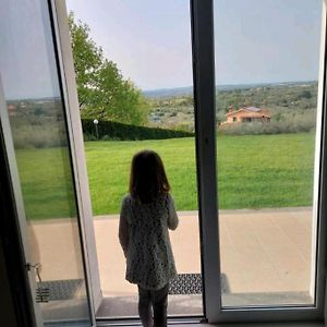 la staccionata bianca